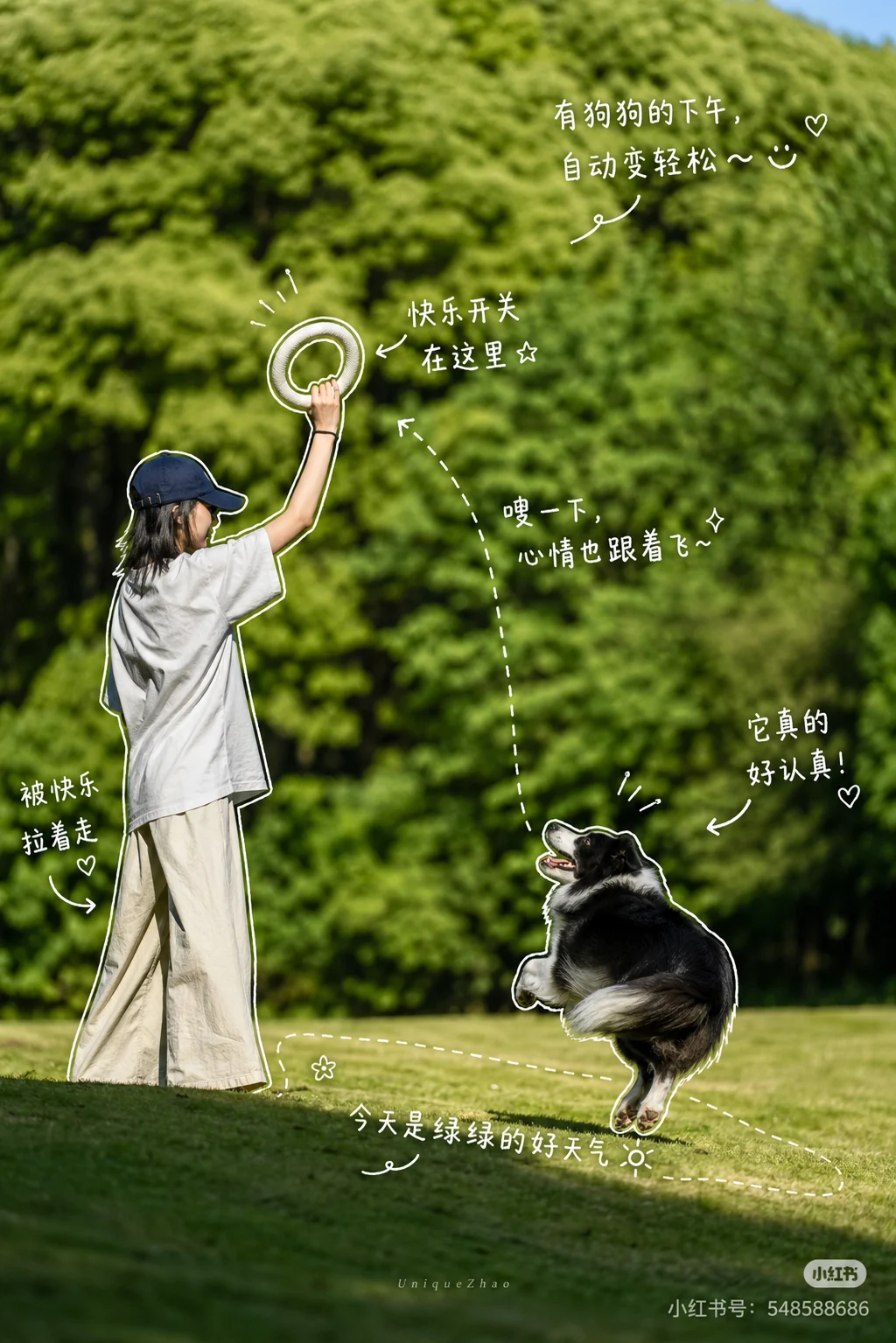 公园里的边牧与轻盈白色手写注释